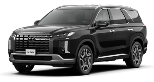 Hyundai Palisade Calligraphy