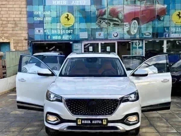 MG HS