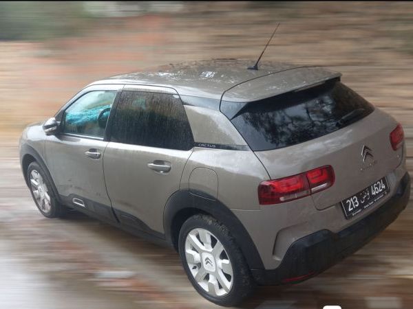 Citroën C4 Cactus 