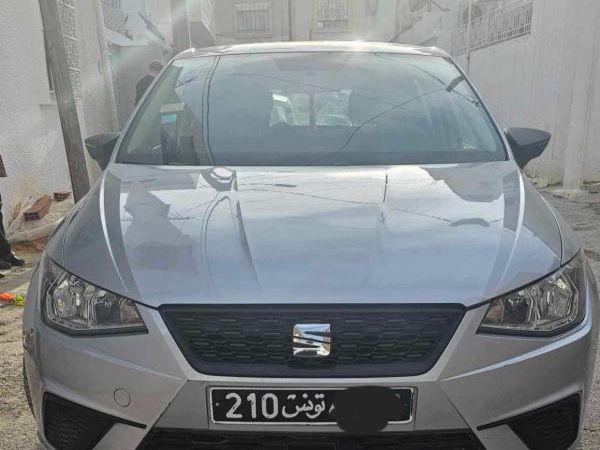 Seat Ibiza Grise