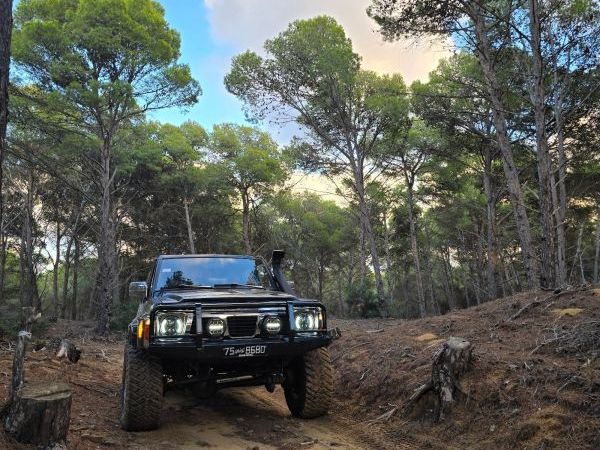 Nissan Patrol Toutes options