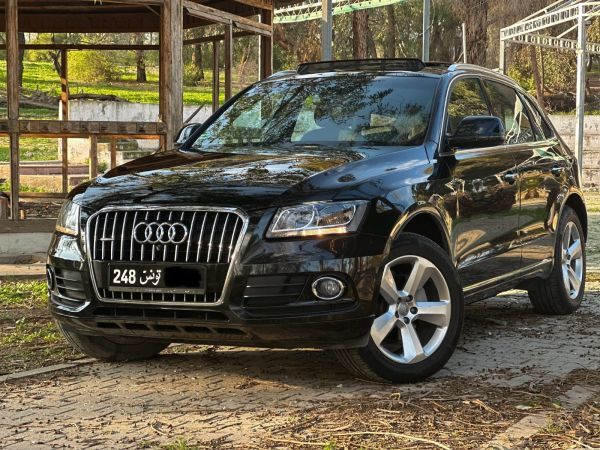 Audi Q5 Sportback 