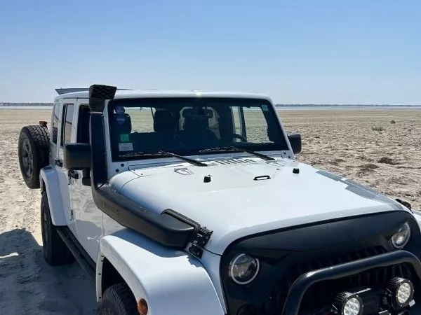 Jeep Wrangler Night eagles