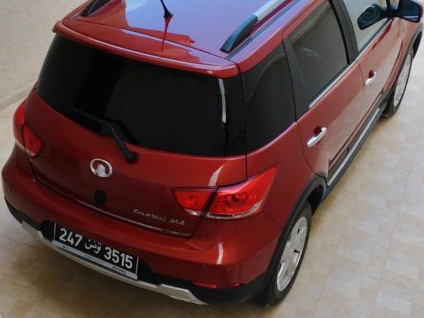 GWM M4 