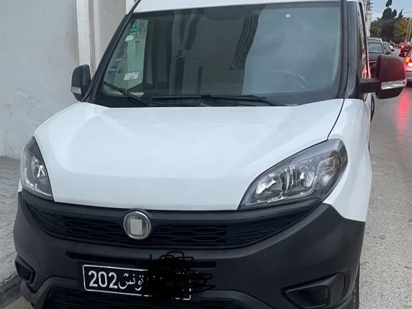 Fiat Doblo Maxi 