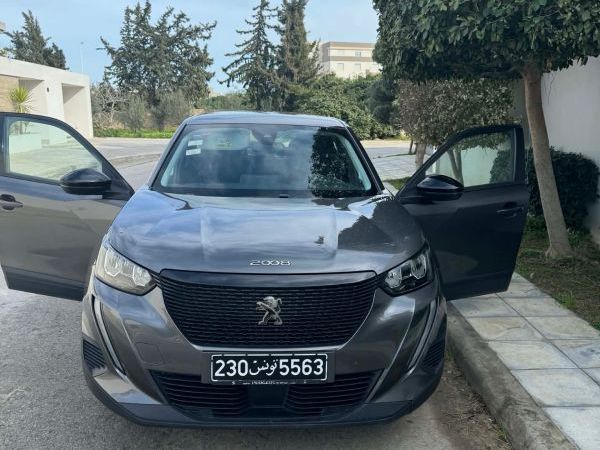 Peugeot 2008 